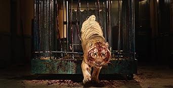 Leningrad: Kolshchik