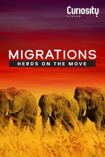 Migrations: Herds on the Move