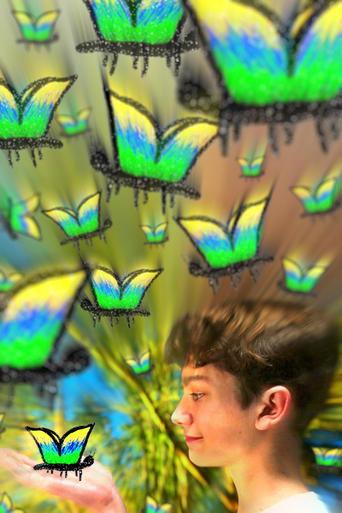 My Fascination With The Butterfly Effect
