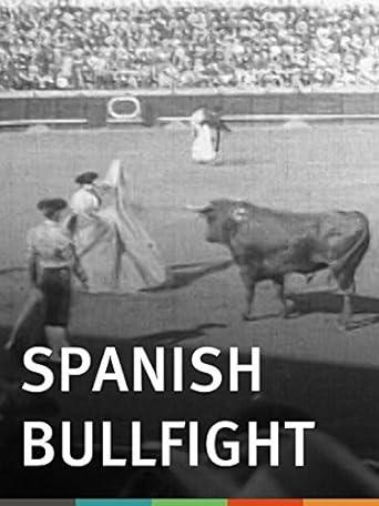 Spanish Bullfight