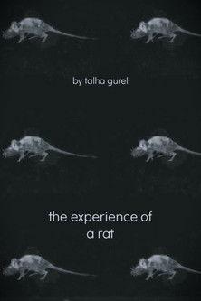 The Experience of a Rat