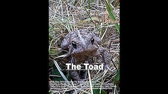 The Toad