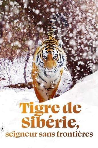 Siberian Tiger, The Secret Kingdom