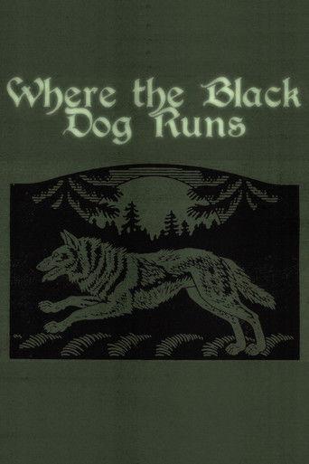 Where the Black Dog Runs
